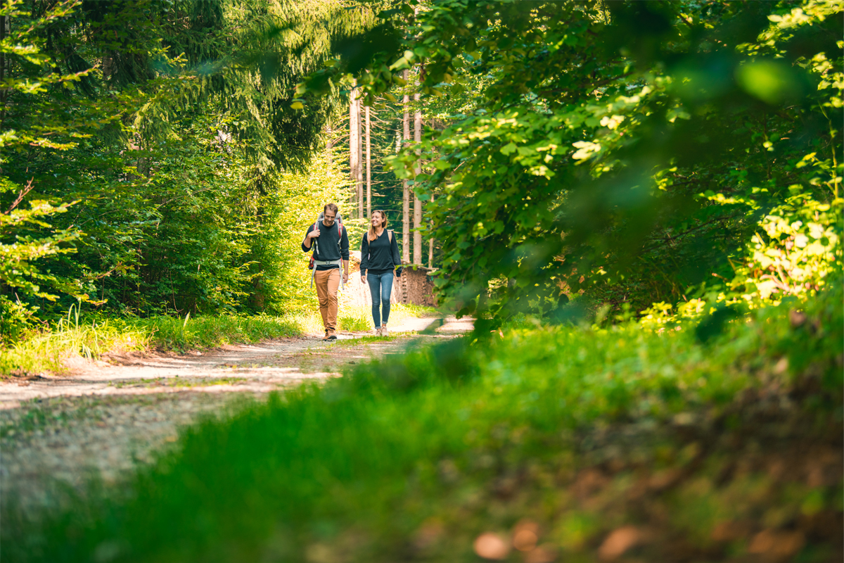 Le sentier des Légendes chauffage à distance