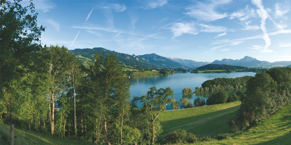 Lac de la Gruyère