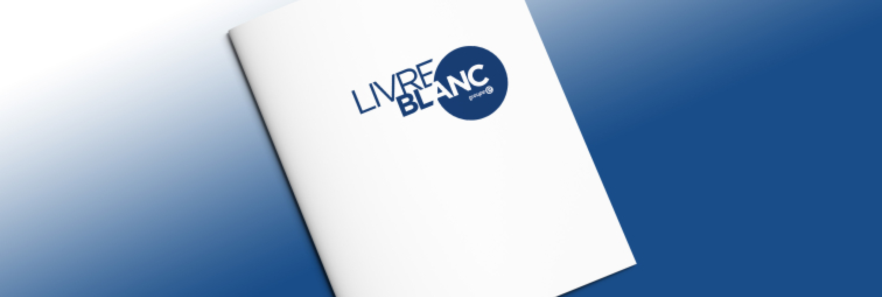 livre blanc groupe e