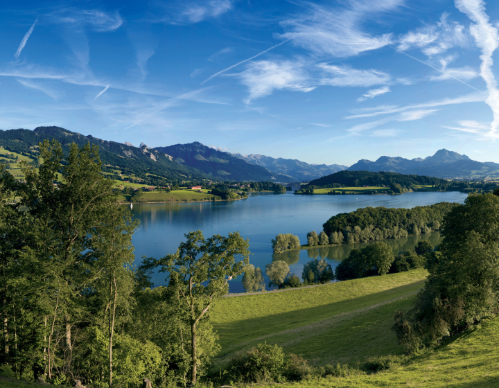 Lac de la Gruyère