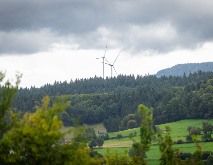 Foto einer Landschaft mit Windrädern im Hintergrund