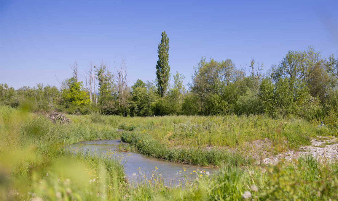 Nature avec un étang, un champ et une haie