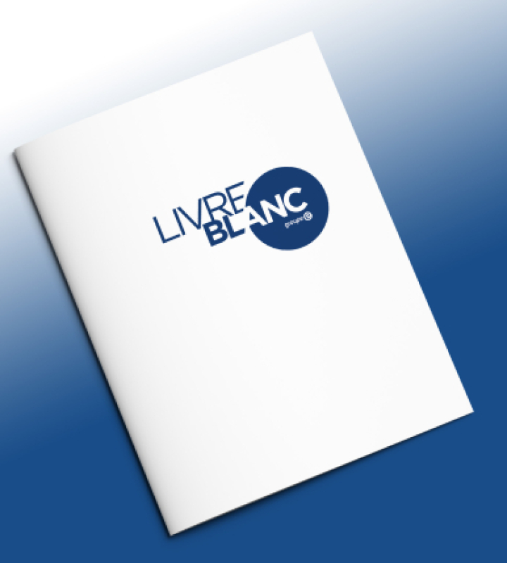 livre blanc groupe e