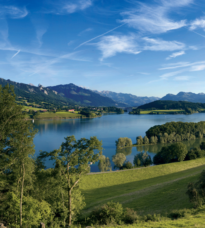 Wasserstand Greyerzersee