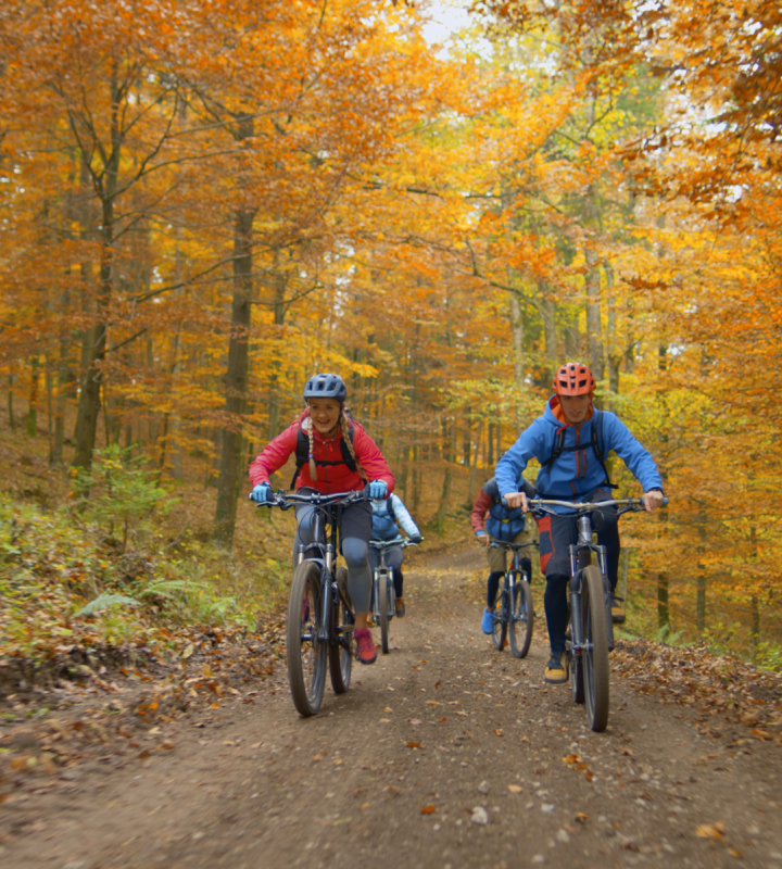 Groupe faisant du VTT en forêt, en automne.