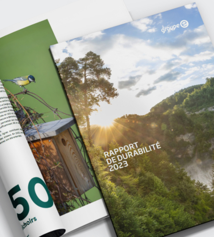 couverture rapport de gestion