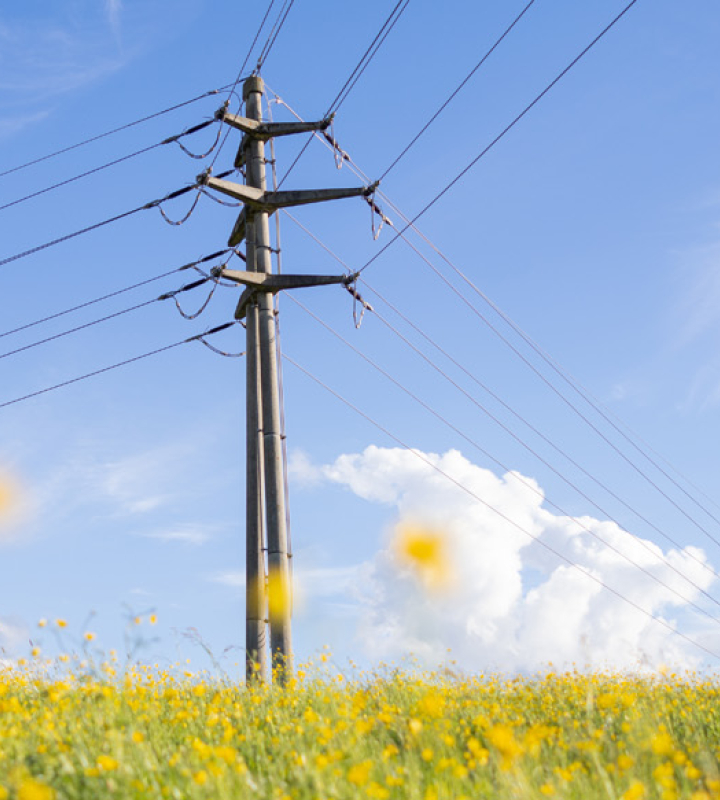 pylone électrique dans champs de fleurs