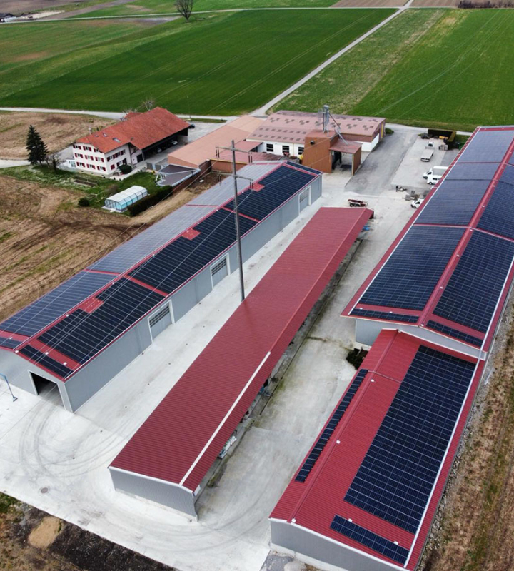 Exploitation agricole Mayor