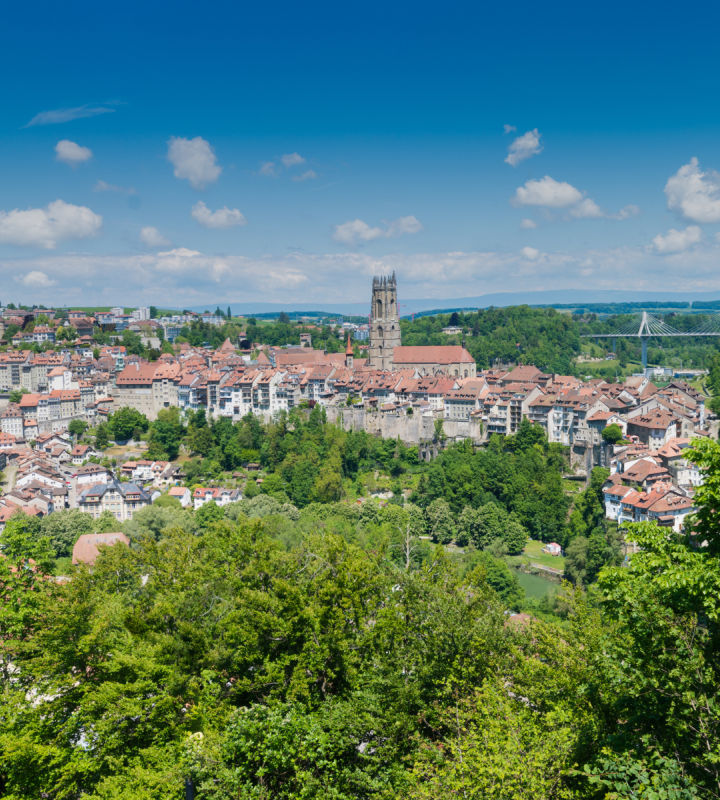 Luftaufnahme der Stadt Freiburg