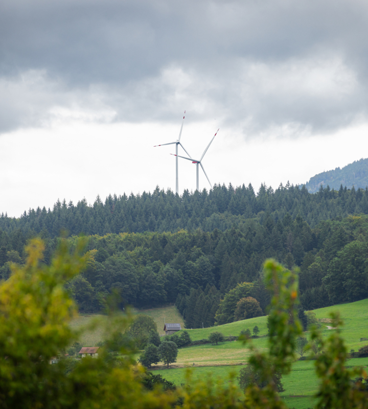 Photo d'un paysage avec des éoliennes en fond