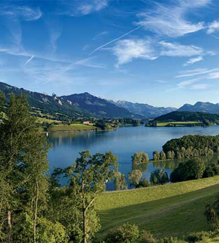 Gruyerzersee