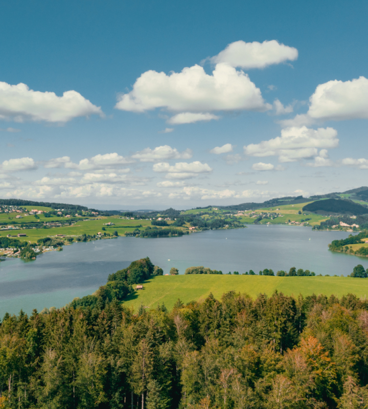 Lac de la Gruyère