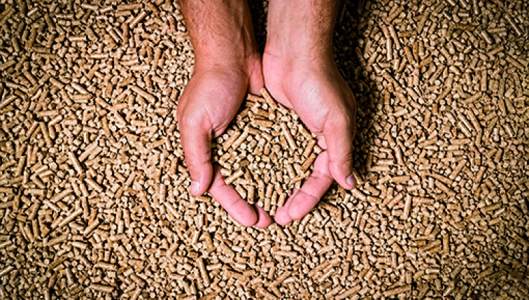 Pellets aus der Region