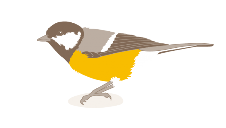 Mésange