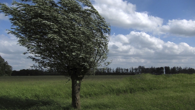 Alle Einsprachen gegen den Windpark Montagne de Buttes (NE) bereinigt