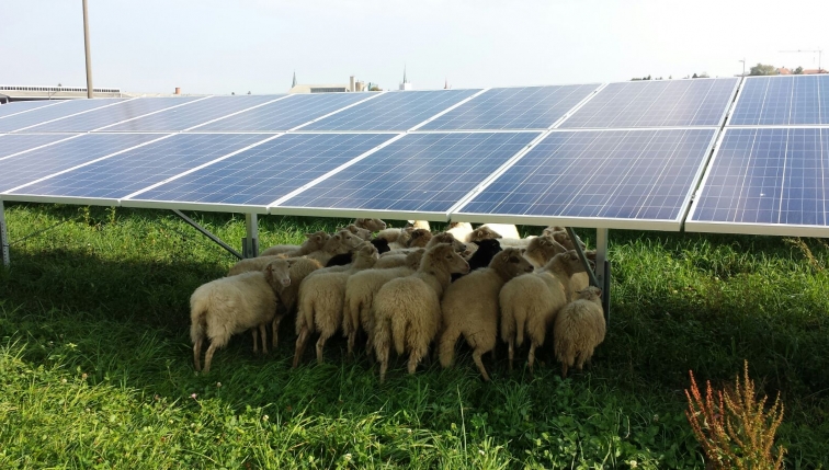 Première année réussie pour le parc solaire de la Boverie