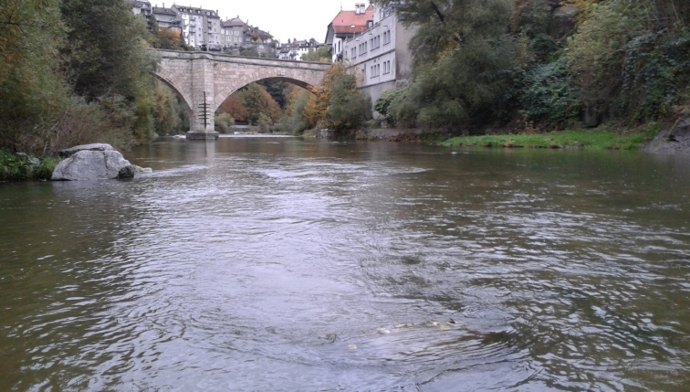 Saane in der Freiburger Unterstadt