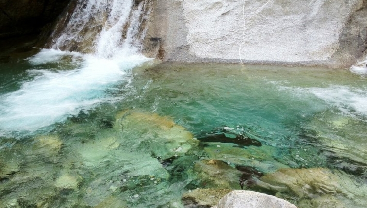 Groupe E ruft zu Wachsamkeit in Flüssen und an Flussufern 