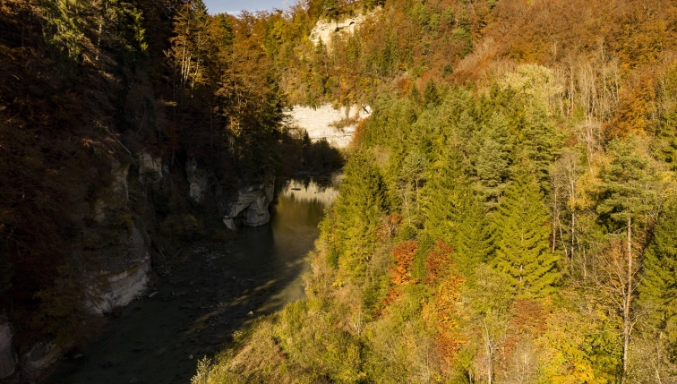 Une crue artificielle pour préparer l’avenir de la Sarine