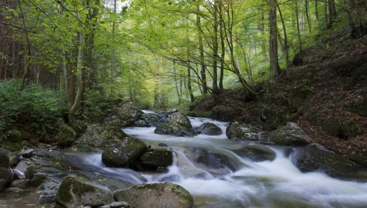 Danger dans le lit et sur les rives des cours d’eau