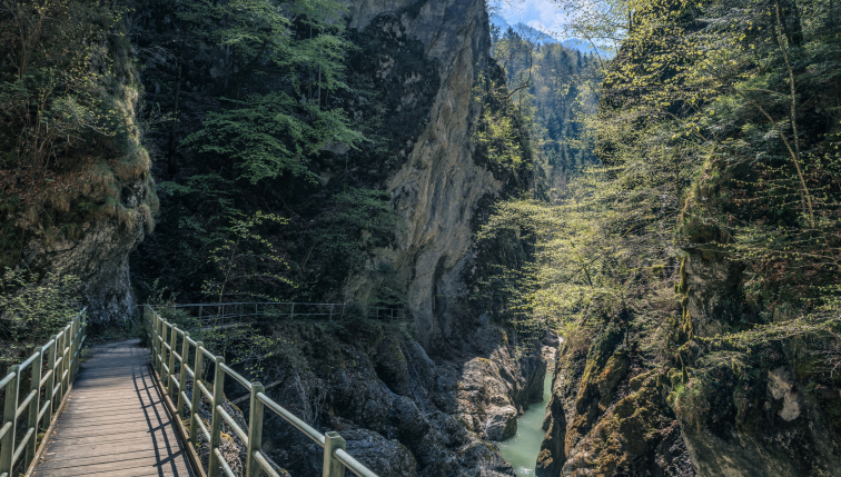 Gorges de la Jogne