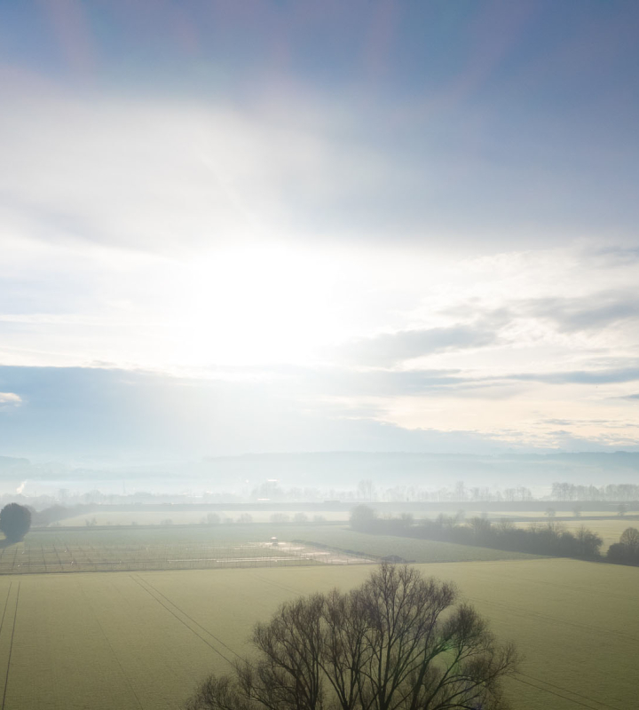 Des champs et des arbres, au levé du soleil, dans le région du Seeland, en Suisse