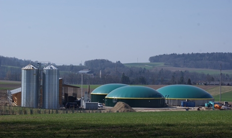 Biomasse, l'énergie de la nature Biomasse, l'énergie de la nature