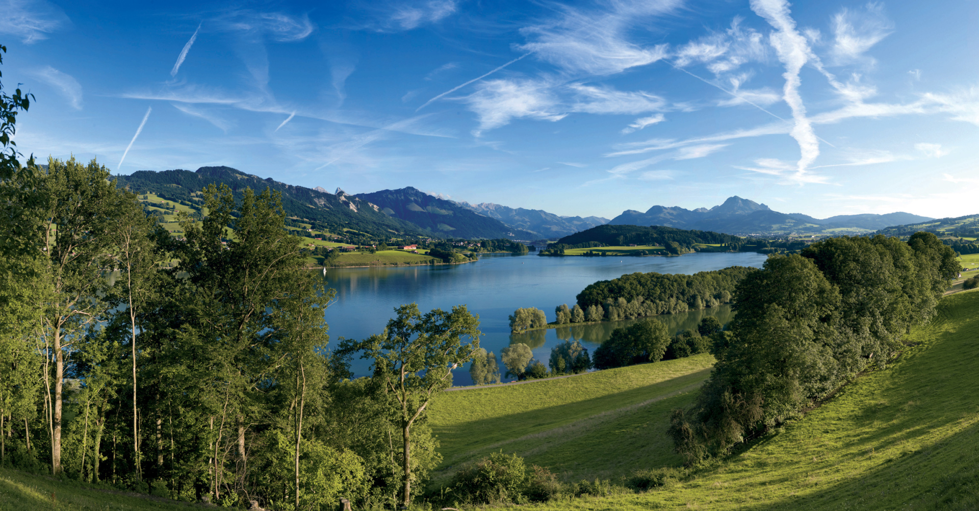 Vue du Lac de la Gruyère