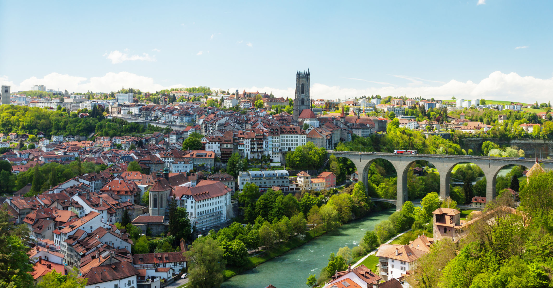 Blick auf die Stadt Freiburg und ihre Kathedrale