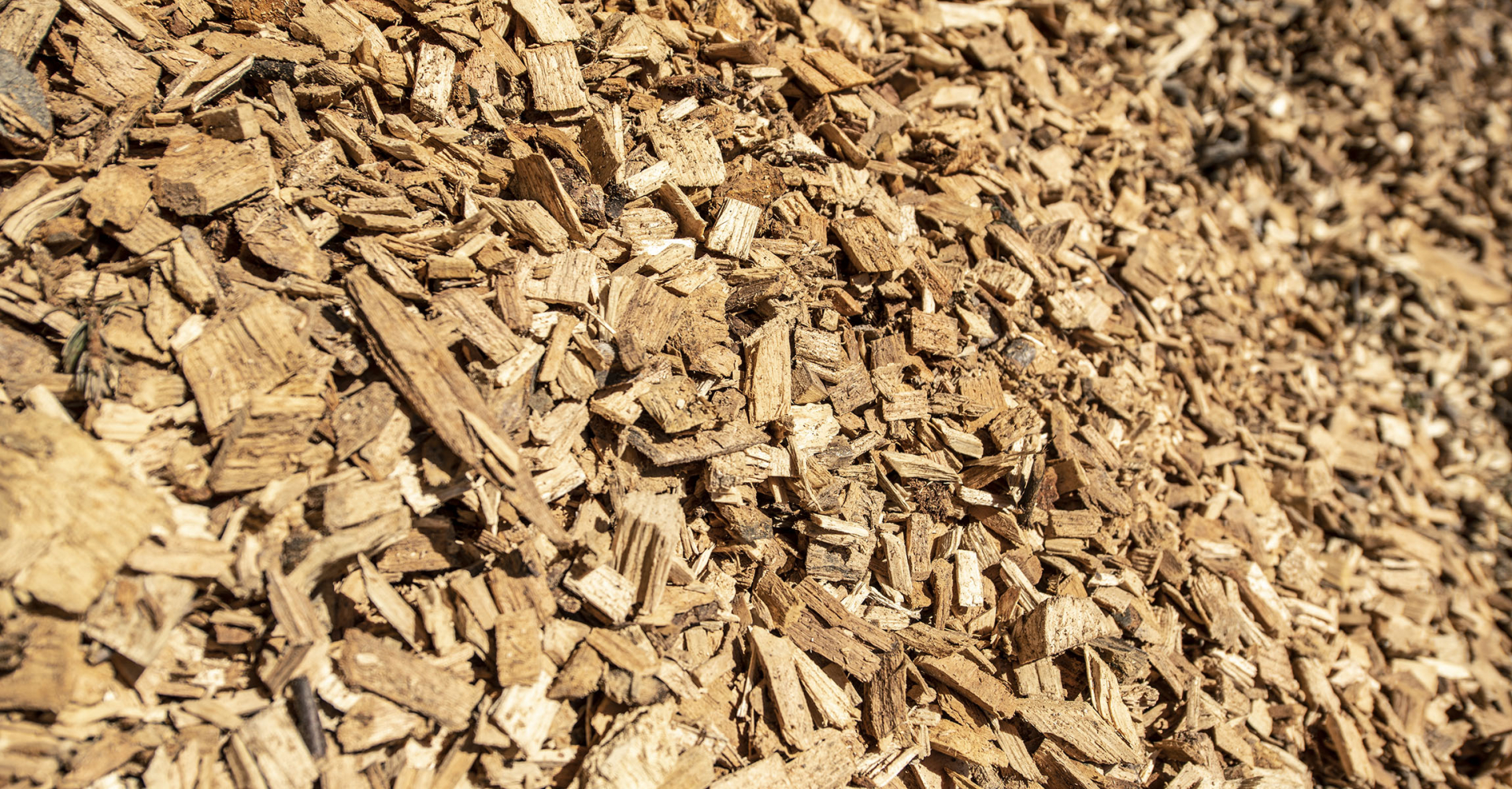 Gros plan sur des pellets de bois destinés à l’alimentation d’un réseau de chauffage à distance.