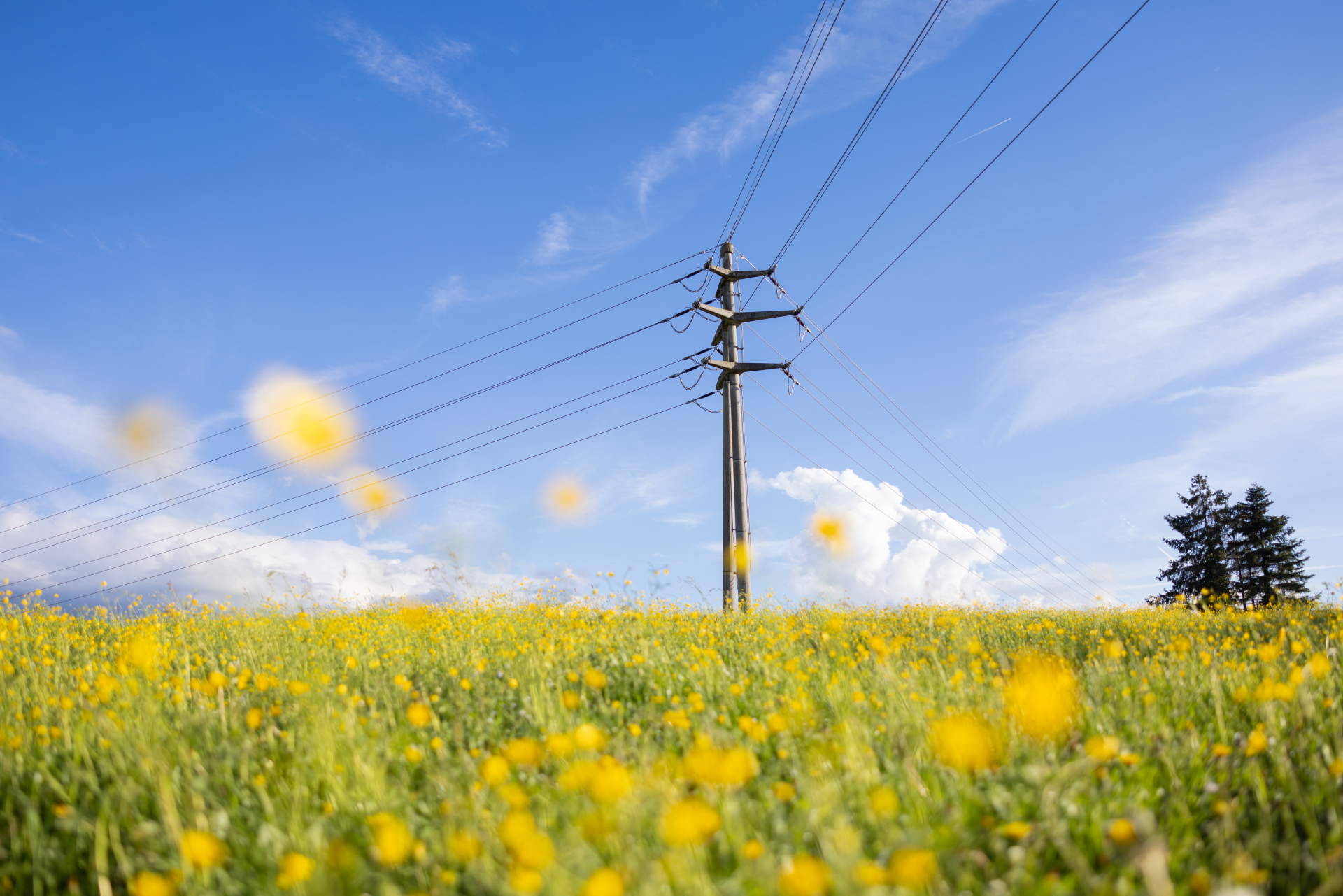 Photo d'un pilonne électrique dans la prairie